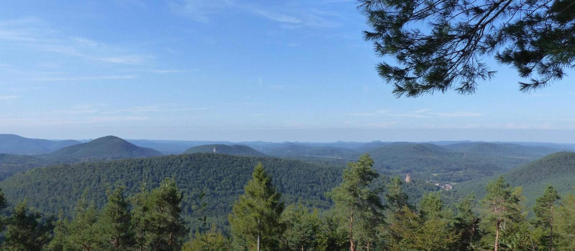 Ferienwohnung "Monte Noble" Suedpfalz Erlenbach  Luaran gambar