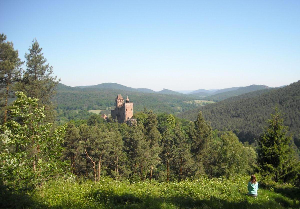 Ferienwohnung "Monte Noble" Suedpfalz Erlenbach  Luaran gambar
