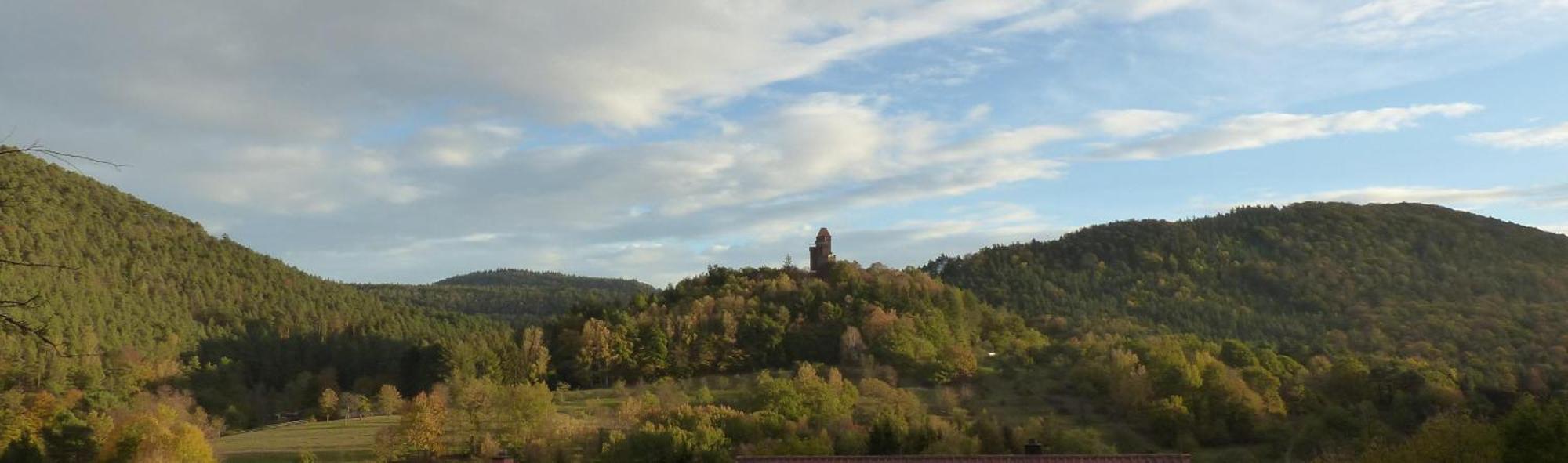 Ferienwohnung "Monte Noble" Suedpfalz Erlenbach  Luaran gambar