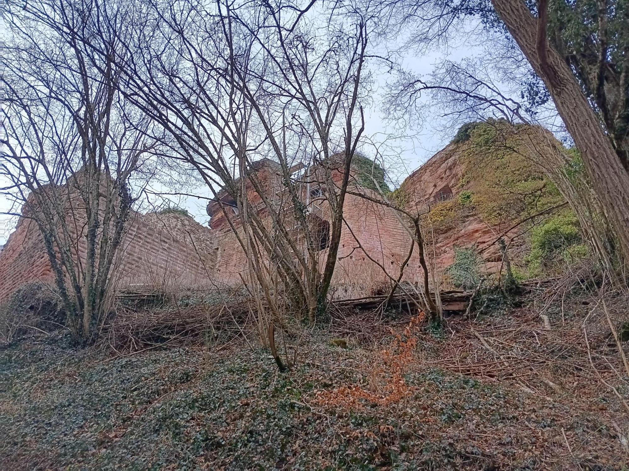 Ferienwohnung "Monte Noble" Suedpfalz Erlenbach  Luaran gambar